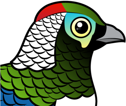 About The Lady Amherst's Pheasant - Lady Amherst's Pheasant (440x440)