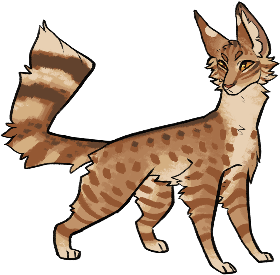 Pheasantstar By Raccoonhearted Pheasantstar By Raccoonhearted - Abyssinian (1024x998)