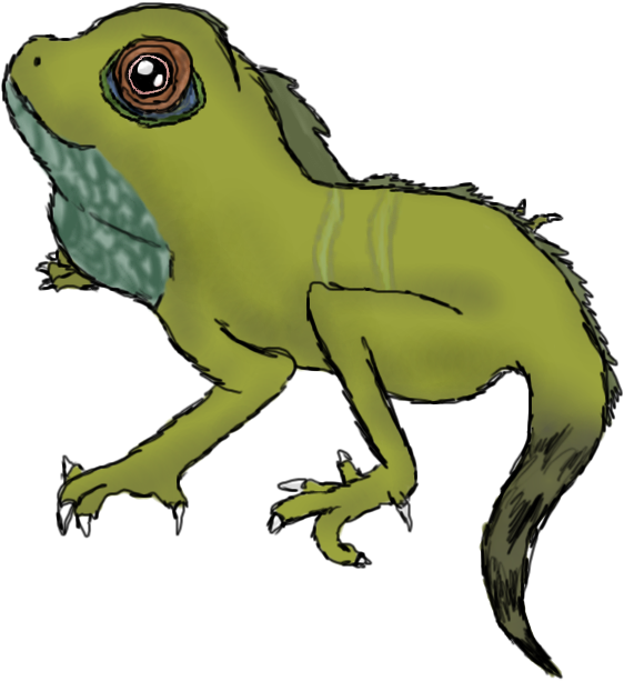Drawn Water Dragon Cartoon - Chinese Water Dragon Drawing (650x675)