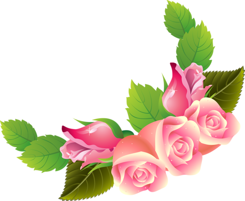 [ Img] - Garden Roses (500x411)