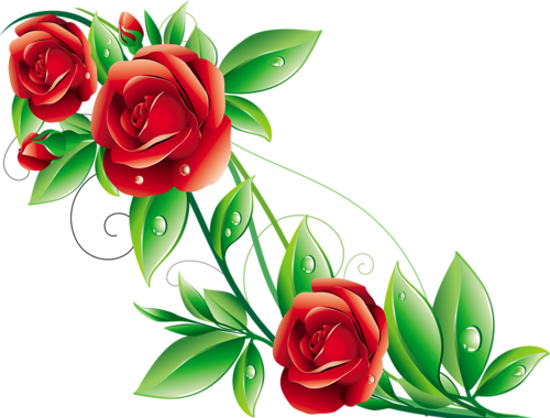 Цветы - Flower (500x380)