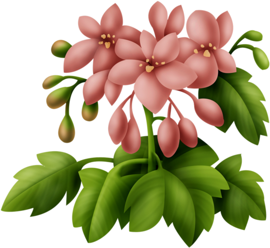 Illustration (600x592)