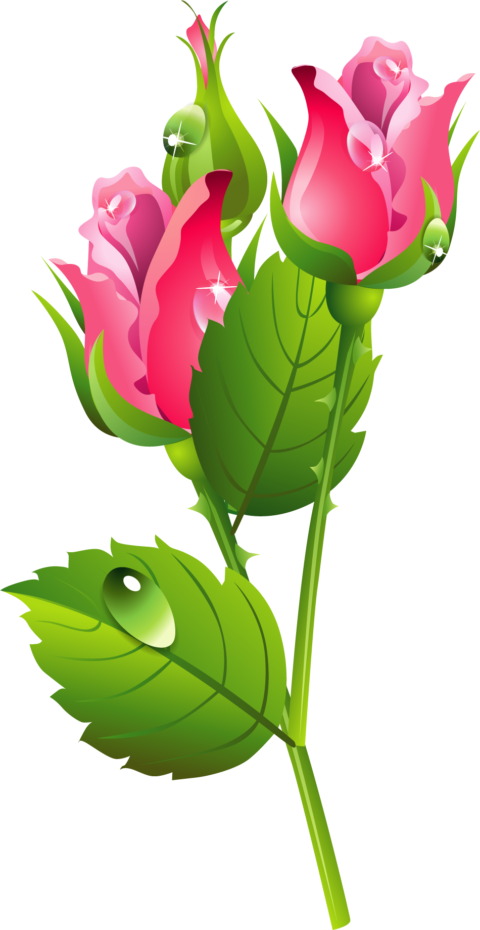 ༺♛ Christine Staniforth ♛༻ - Rose Flower Sticker (950x1839)