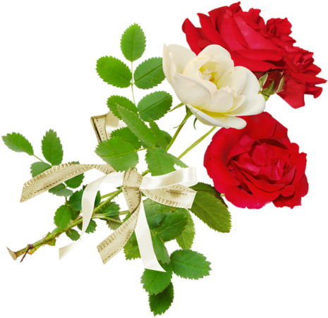 Trois Très Jolies Plantes Aux Fleurs Colorées Que J'aime - Открытки С Прощеным Воскресеньем (500x465)