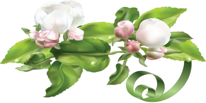 Изображение Для Плейкаста - Pink Peonies Shower Curtain (800x400)