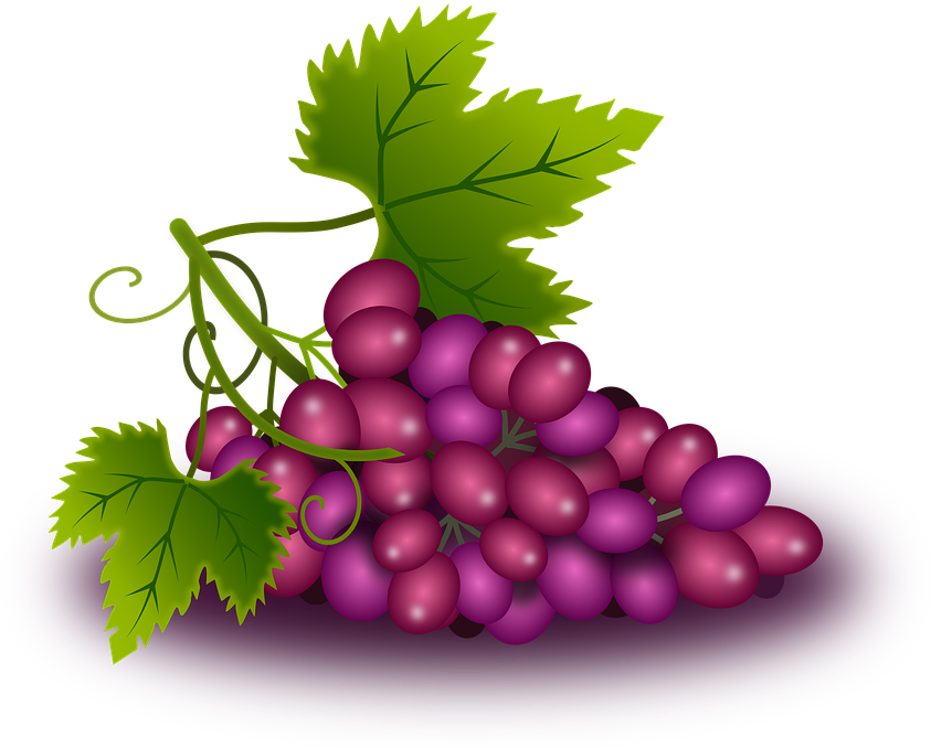 Buy Clip Art - Uvas Png (944x720)