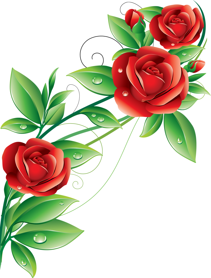 Изображение Для Плейкаста - Free Download Images Of Beautiful Flowers (821x1080)
