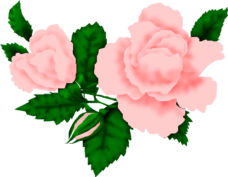 You Might Also Like - Gif (777x647)