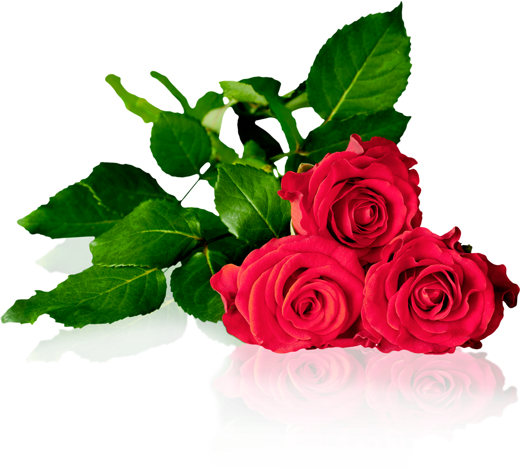 Dgc Trading - Death Among The Roses - Epub (1100x1000)