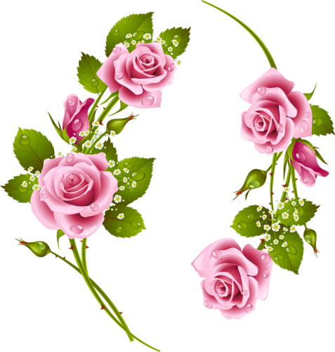 Pin By Carmen Dungan On Flowers Pinterest Roses Clip - Rose Frame (477x500)