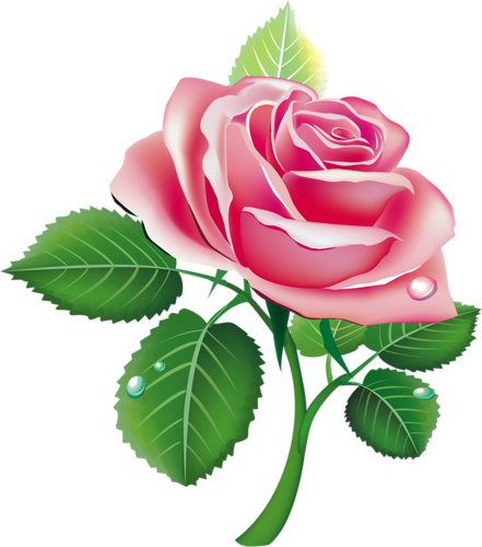 Hello Html M76a08c4c Hello Html M3771efb9 - Painted Rose Buds Png (441x500)
