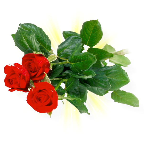 Romantic Rose Stickers Messages Sticker-7 - Khadi Rose Honey With Rose Petal Soap (set Of 4) (618x618)