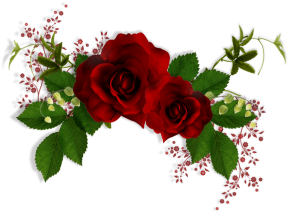 Roses,pink,roze,rosa, Beautiful Flowers Pinterest Clip - Rose (600x600)
