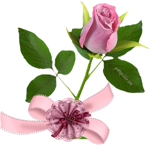 Dua Gülü - 3d Rose (485x485)