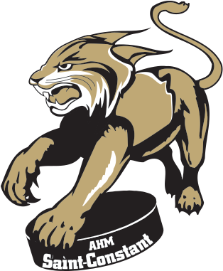 Association De Hockey Mineur De Saint-constant - Association De Hockey Mineur De Saint-constant (322x386)