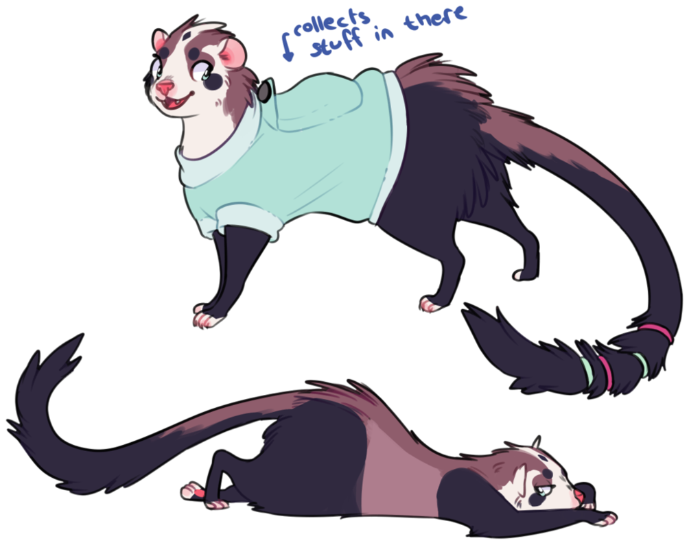 Ferret Design By Iyd - Ferrets Concept Art (1004x795)