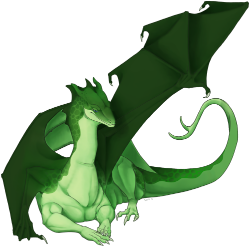 Flying Dragon Outline Clipart - Clip Art (500x493)