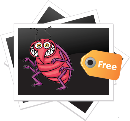 Free Bed Bug Pictures - Bed Bug (450x418)