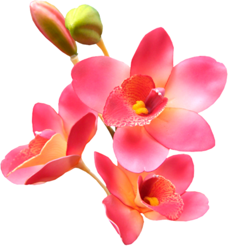 [ Img] - Lovers Poems Com Good Morning (464x500)