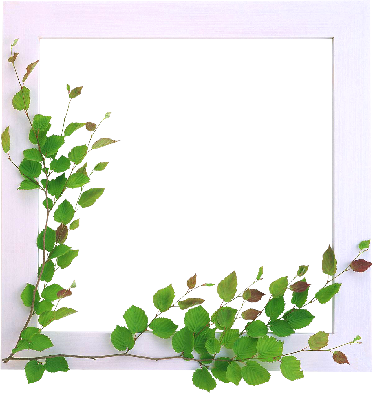 Marcos Para Fotos Con Flores - Flores Para Bordes De Paginas (1500x1400)