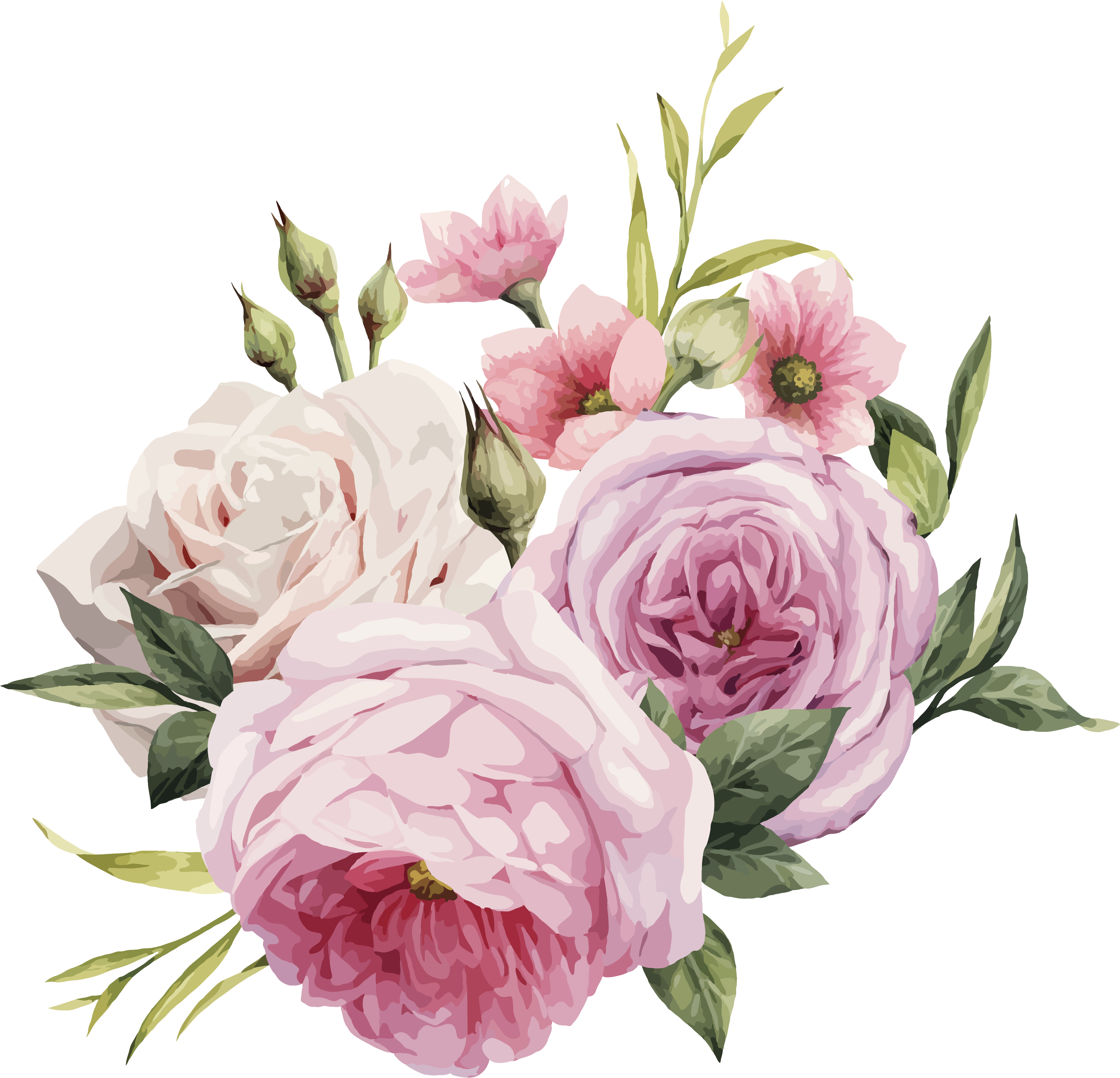 Pink Flowers Rose Color - Pink Rose Vector Png (5000x5000)