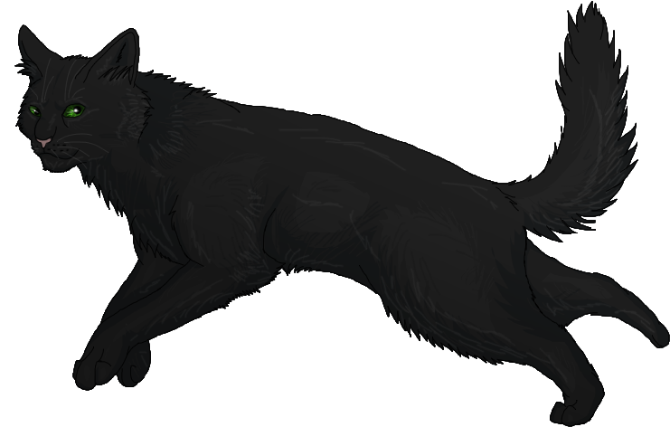 Black Cat Warriors Hollyleaf Clip Art - Black Cat Warriors Hollyleaf Clip Art (800x600)