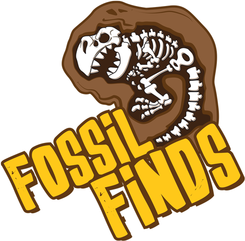 Stegosaurus, Triceratops, Maybe A T - Fossil (500x500)