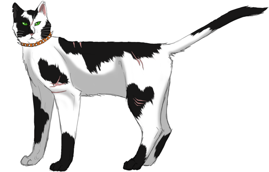 Bone By Lithestep - Warrior Cats Bone (900x586)