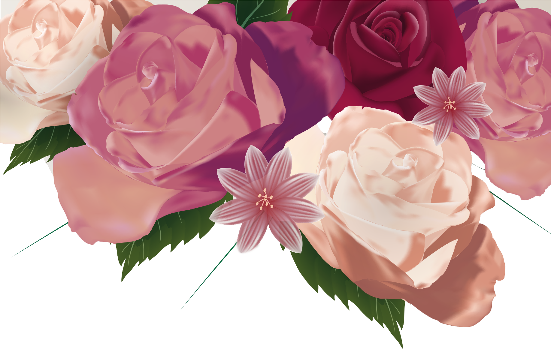 Centifolia Roses Garden Roses Floribunda Floral Design - Centifolia Roses Garden Roses Floribunda Floral Design (1834x1278)