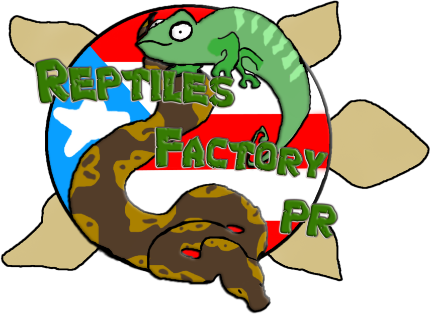 Reptiles Factory Pr - Reptile (1000x726)