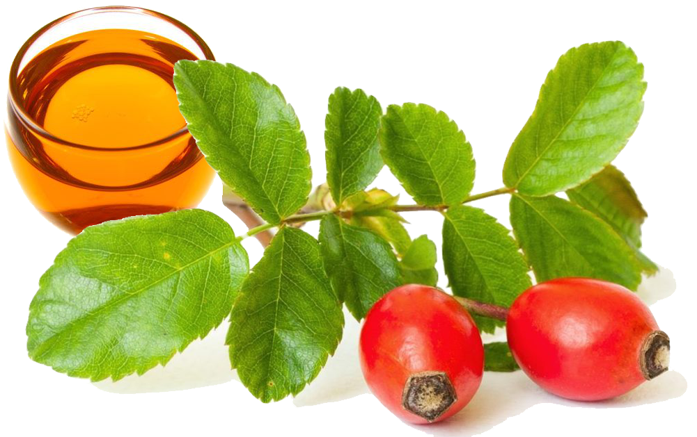 Hagebuttenöl Rosehip Oil - Rosehip Oil Benefits For Skin (1000x636)