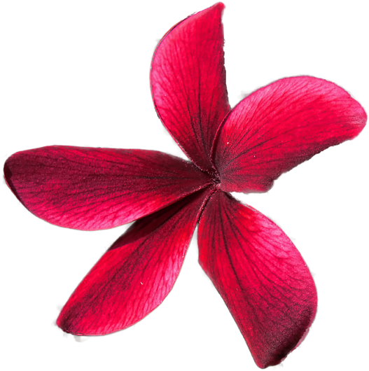 Click And Drag To Re-position The Image, If Desired - Stock Photography (600x588)