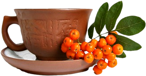 Rose Hips Tea - Tea (500x319)