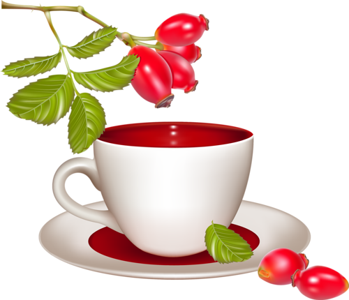 Rose Hips Tea - Llewellyn's Herbal Almanac 2012 [book] (500x430)