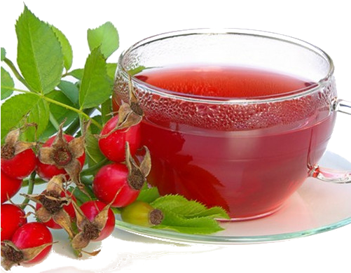 Rose Hips Tea - Cranberry Tea (500x398)