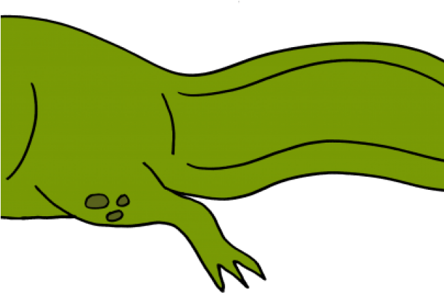 Tadpole Clipart Four Leg - Tadpole (640x480)
