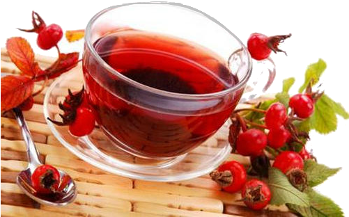 Rose Hips Tea - Шиповник Сок (500x333)