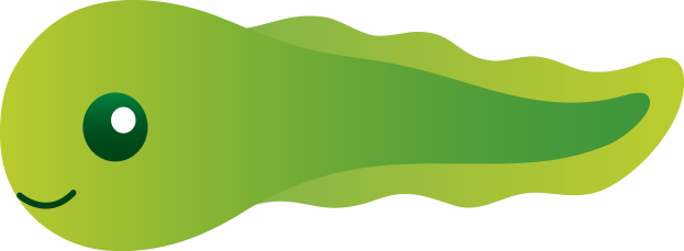Tadpoles - Tadpole Clipart (622x229)