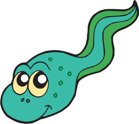 Tadpoles / Ages - Tadpole Clip Art (453x404)