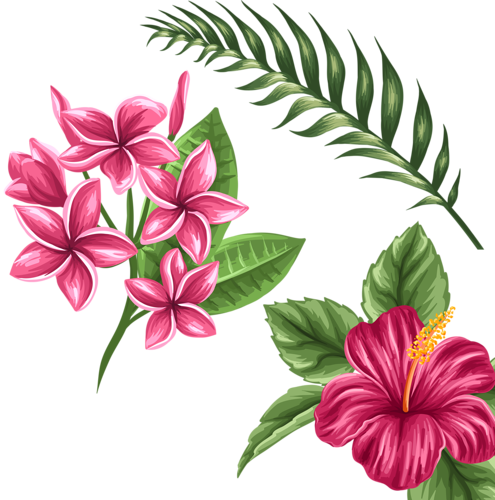 Shutterstock 271809932 - Exotic Flowers Drawings (792x800)