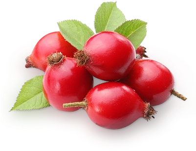 Rose Hips - Dzika Róża Owoc Suszony 100 G - Natvita (400x400)