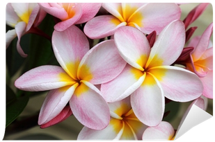 Photography (400x400)