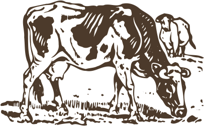 White Black Pattern - White Black Pattern (1756x1756)