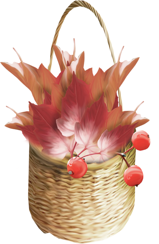 Rose Hips - Gift Basket (523x800)