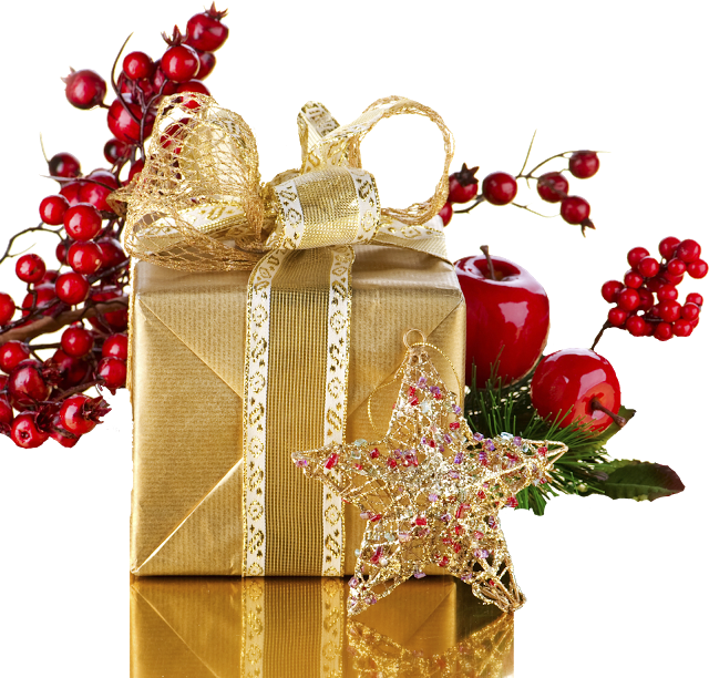 Rose Hips - New Year Gifts To Husband (640x612)