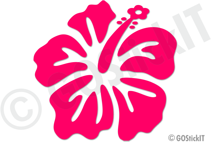 Cartoon Pink Hibiscus Flower Pictures To Pin On Pinterest - Hibiscus Flower Design (784x534)