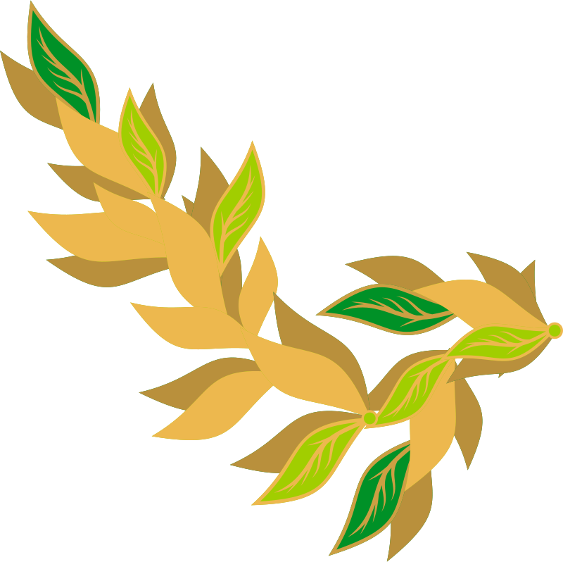 Free Bay Leaf - Bay Leaf (800x798)