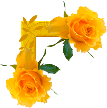 Esquineros Vectores De Flores - Garden Roses (381x400)