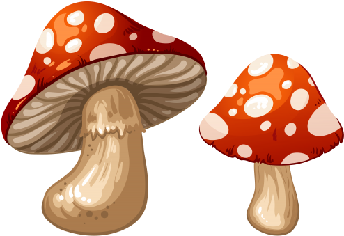 Mushrooms Clipart Biezumd - Mushroom Clipart Png (500x364)