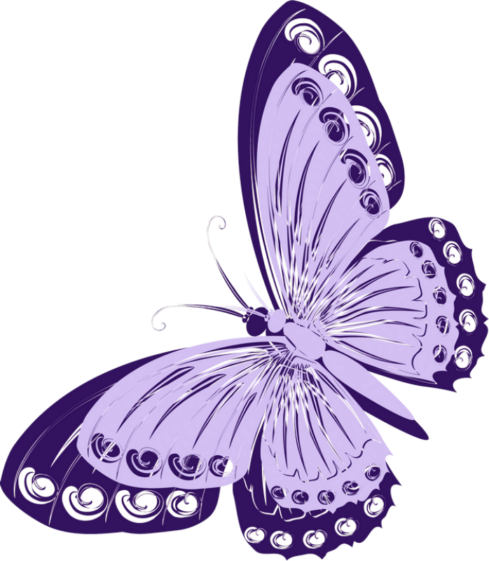 Butterfly - Бабочки Вектор Png (698x800)